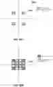 Fig. 60 - Vision testing via prediction-based setting of initial stimuli characteristics for user interface locations