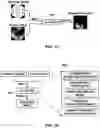 Fig. 18 - Vision testing via prediction-based setting of an initial stimuli characteristic for user interface locations