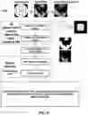 Fig. 21 - Vision testing via prediction-based setting of an initial stimuli characteristic for user interface locations