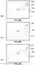 Fig. 49 - Vision testing via prediction-based setting of an initial stimuli characteristic for user interface locations