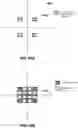 Fig. 60 - Vision testing via prediction-based setting of an initial stimuli characteristic for user interface locations