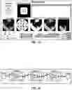 Fig. 20 - Vision testing via prediction-based setting of initial stimuli characteristics for user interface locations