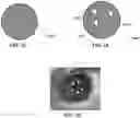 Fig. 42 - Vision testing via prediction-based setting of initial stimuli characteristics for user interface locations
