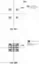 Fig. 60 - Vision testing via prediction-based setting of initial stimuli characteristics for user interface locations