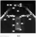 Fig. 05 - Procedural Optical Coherence Tomography (OCT) for Surgery and Related Methods