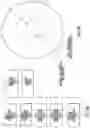 Fig. 11 - Procedural Optical Coherence Tomography (OCT) for Surgery and Related Methods