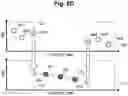 Fig. 13 - TIME FEATURES CALCULATION APPARATUS, CALCULATION METHOD AND ITS PROGRAM
