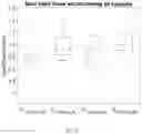 Fig. 12 - ASYMMETRICAL RHYTHMIC AUDITORY CUEING BASED GAIT MODIFICATION