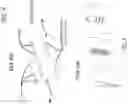 Fig. 05 - DEVICE AND SYSTEM FOR MEASURING RANGE OF MOTION OF ANKLE, AND METHODS FOR USING THE SAME