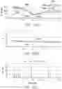 Fig. 114 - METHODS, SYSTEMS, AND DEVICES FOR SENSOR FUSION