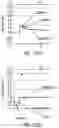 Fig. 131 - METHODS, SYSTEMS, AND DEVICES FOR SENSOR FUSION