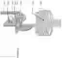 Fig. 29 - MEDICAL DEVICE INSERTERS AND PROCESSES OF INSERTING AND USING MEDICAL DEVICES