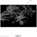 Fig. 09 - SYSTEM AND METHOD FOR MODELING NEUROLOGICAL ACTIVITY