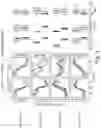 Fig. 04 - SYSTEM AND METHOD FOR CLOSED LOOP CONTROL OF AUTONOMIC FUNCTION