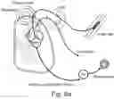 Fig. 10 - SYSTEM AND METHOD FOR CLOSED LOOP CONTROL OF AUTONOMIC FUNCTION