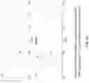 Fig. 26 - METHODS AND APPARATUS FOR REMOVING ARTIFACTS FROM AN ELECTRORETINOGRAM