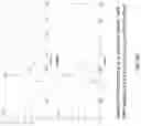 Fig. 27 - METHODS AND APPARATUS FOR REMOVING ARTIFACTS FROM AN ELECTRORETINOGRAM
