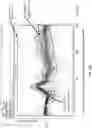 Fig. 37 - METHODS AND APPARATUS FOR REMOVING ARTIFACTS FROM AN ELECTRORETINOGRAM
