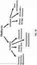 Fig. 47 - Wireless and noninvasive epidermal electronics