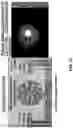 Fig. 49 - Wireless and noninvasive epidermal electronics