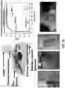 Fig. 56 - Wireless and noninvasive epidermal electronics