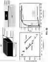 Fig. 74 - Wireless and noninvasive epidermal electronics