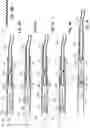 Fig. 06 - SINGLE-INSERTION, MULTIPLE SAMPLING BIOPSY DEVICE WITH LINEAR DRIVE