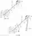 Fig. 06 - Apparatus and methods for sealing a vascular puncture