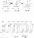 Fig. 13 - Apparatus and methods for sealing a vascular puncture