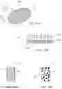 Fig. 16 - Apparatus and methods for sealing a vascular puncture