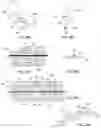 Fig. 31 - Method for intra-abdominally moving an organ