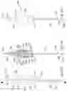 Fig. 41 - Method for intra-abdominally moving an organ