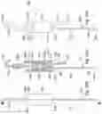 Fig. 42 - Method for intra-abdominally moving an organ