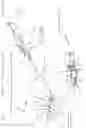 Fig. 02 - Apparatuses and Methods for Use in Surgical Vascular Anastomotic Procedures