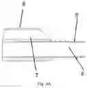 Fig. 03 - STONE EXTRACTION BASKET AND DOUBLE LUMEN END CAP FOR STONE EXTRACTION BASKET