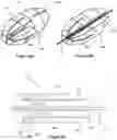 Fig. 21 - Treatment of ischaemia
