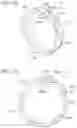 Fig. 12 - ORAL HYGIENE DEVICE MEMBER