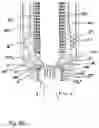 Fig. 28 - Coupling device for coupling a rod to a bone anchor