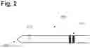 Fig. 03 - Systems and methods for treating the bladder with condensable vapor