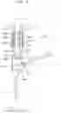 Fig. 12 - Surgical instrument for electrocautery
