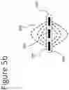 Fig. 11 - APPARATUS FOR APPLICATION OF EVANESCENT WAVES TO BIOLOGICAL TISSUES