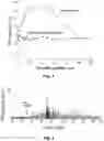 Fig. 05 - Device and method for in vivo detection of clots within circulatory vessels