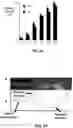 Fig. 16 - Device and method for in vivo detection of clots within circulatory vessels