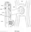 Fig. 37 - Robotic navigational system