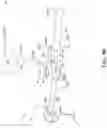Fig. 16 - Systems, methods, and end effectors for guiding prostheses