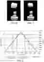 Fig. 03 - Process for producing a sintered lithium disilicate glass ceramic dental restoration and kit of parts
