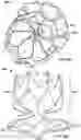 Fig. 45 - SPACE FILLING DEVICES
