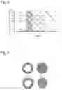 Fig. 05 - Heart valve