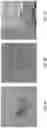 Fig. 07 - SHAPE MEMORY POLYMER FOAMS TO SEAL SPACE AROUND VALVES