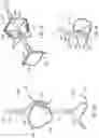 Fig. 04 - APPARATUS AND METHODS FOR TREATING A DEFECTIVE CARDIAC VALVE